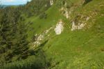 2014-07-05_Laengental-N-Hochweg (774)b. JPG
